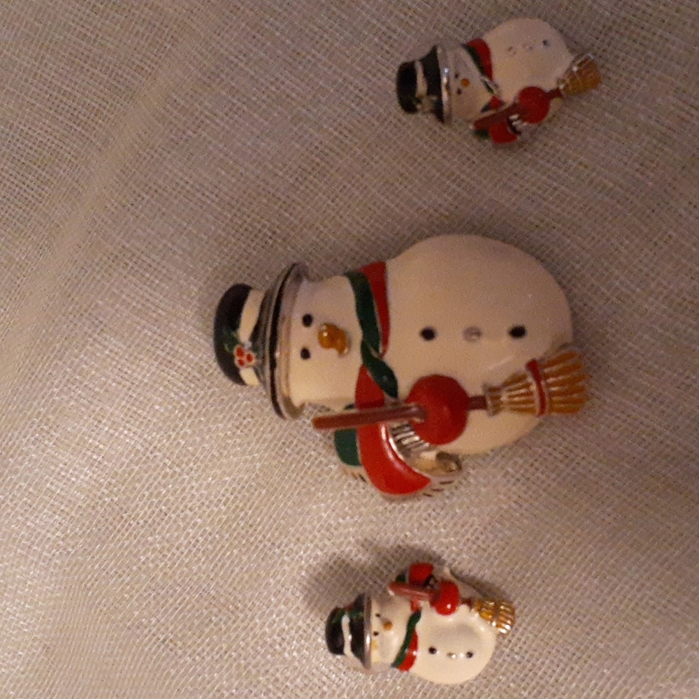 Brooch and earrings #262